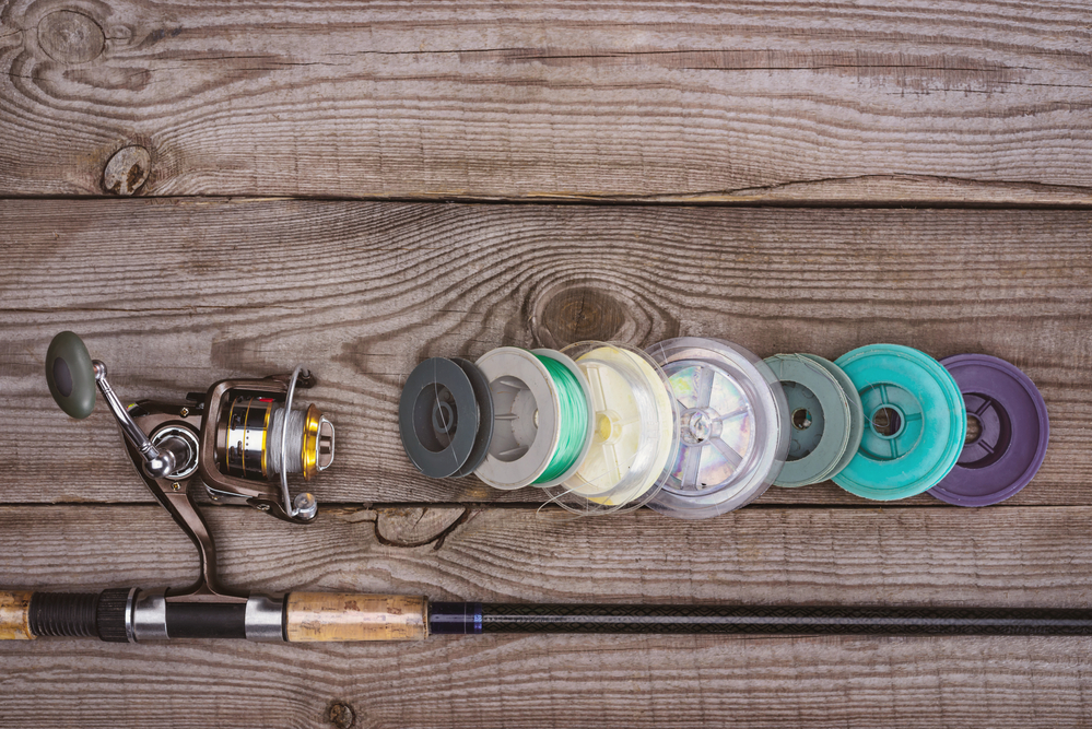 What to Look For in a Rod and Reel