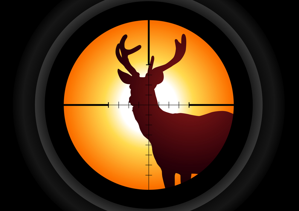 The Best Time Of The Day To Hunt Deer