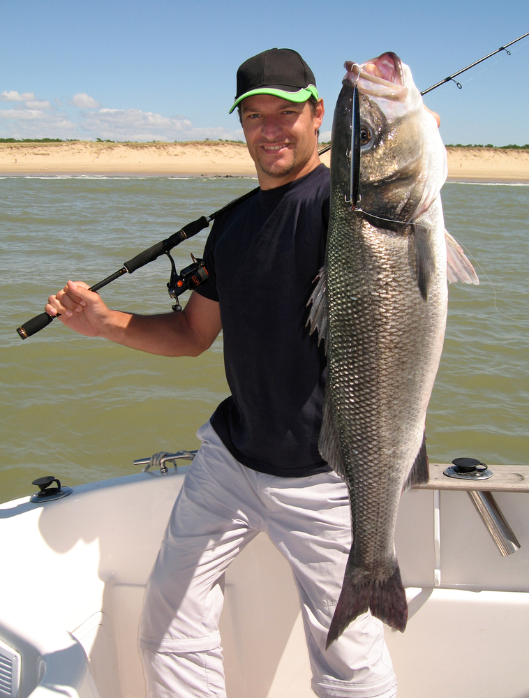 Beginners Guide to Large Mouth Bass Fishing