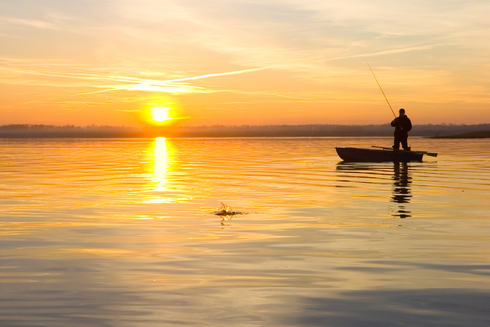 Essentials for Your Next Fishing Trip
