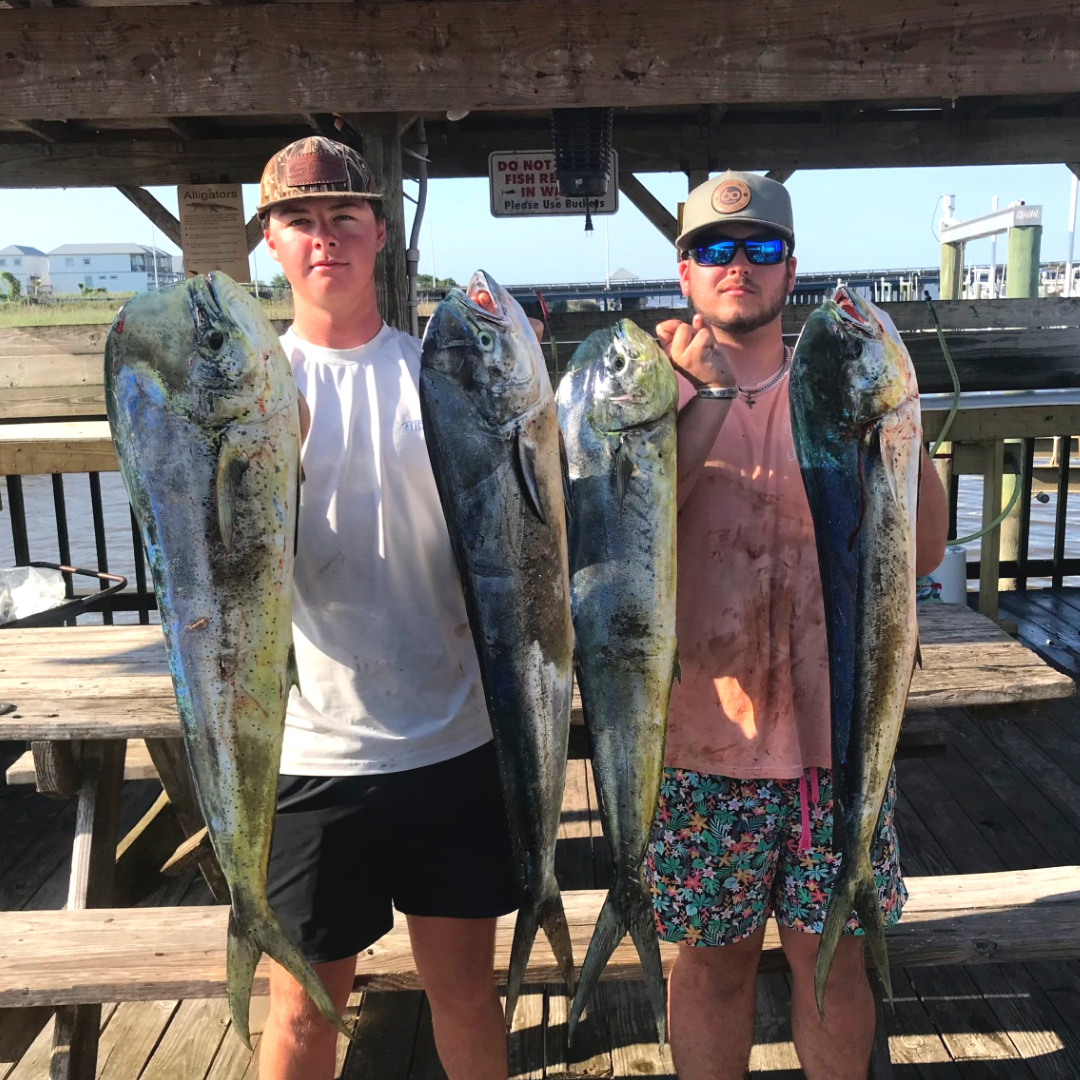 Mahi catch